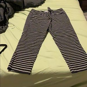 New York & Co Capri Slacks